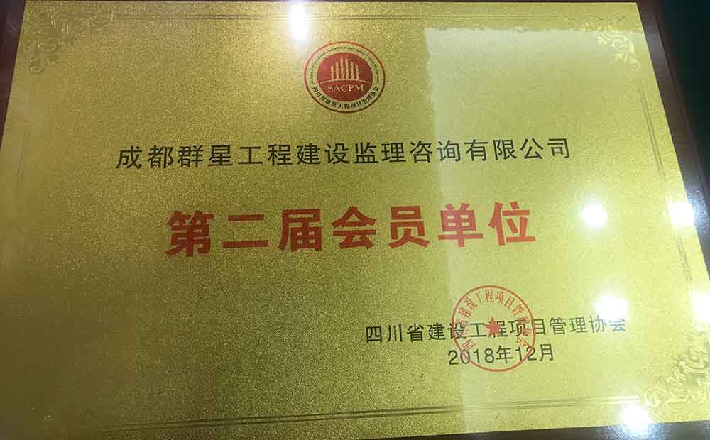 公司中标代建项目情况